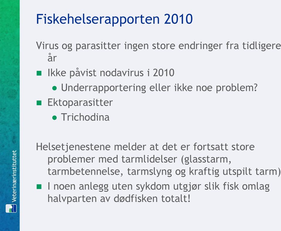 Ektoparasitter Trichodina Helsetjenestene melder at det er fortsatt store problemer med