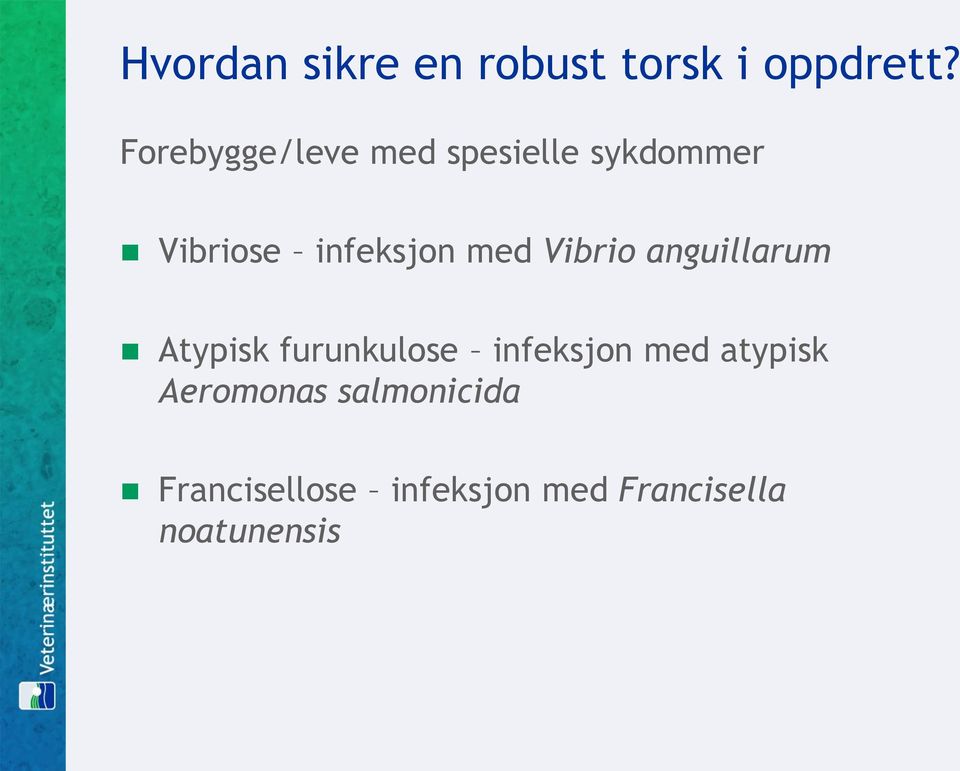 med Vibrio anguillarum Atypisk furunkulose infeksjon med