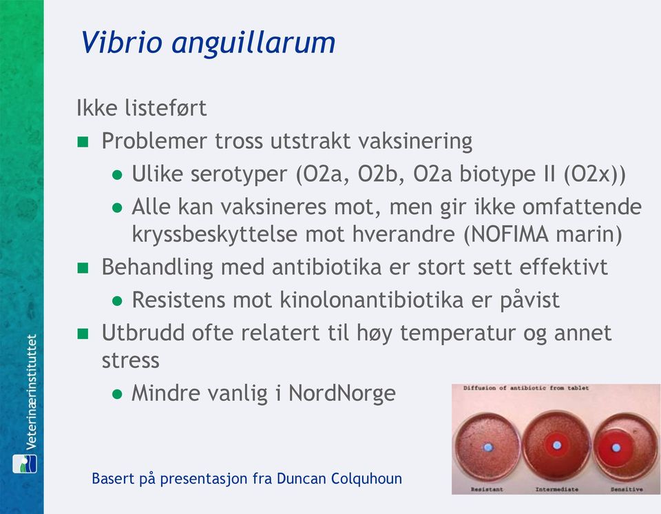 marin) Behandling med antibiotika er stort sett effektivt Resistens mot kinolonantibiotika er påvist Utbrudd