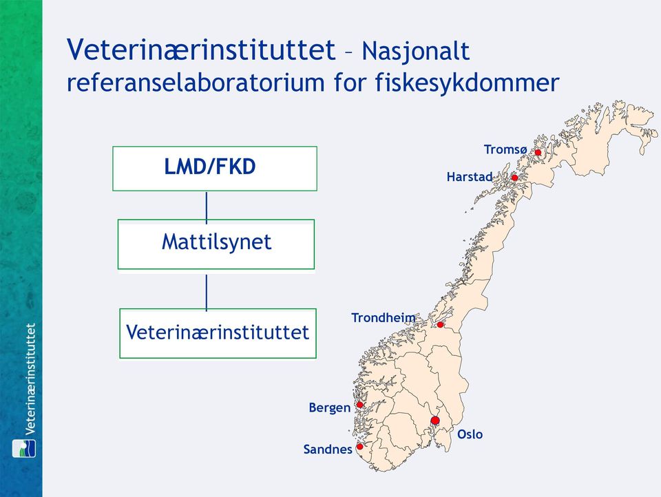 fiskesykdommer LMD/FKD Harstad Tromsø