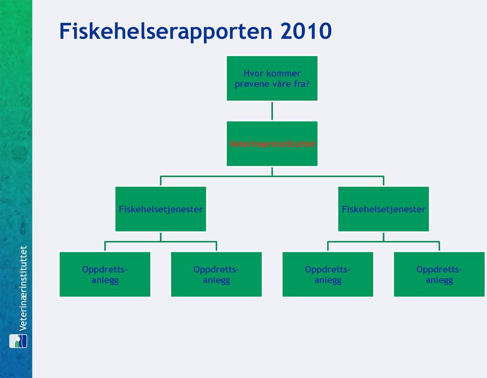 Veterinærinstituttet Fiskehelsetjenester