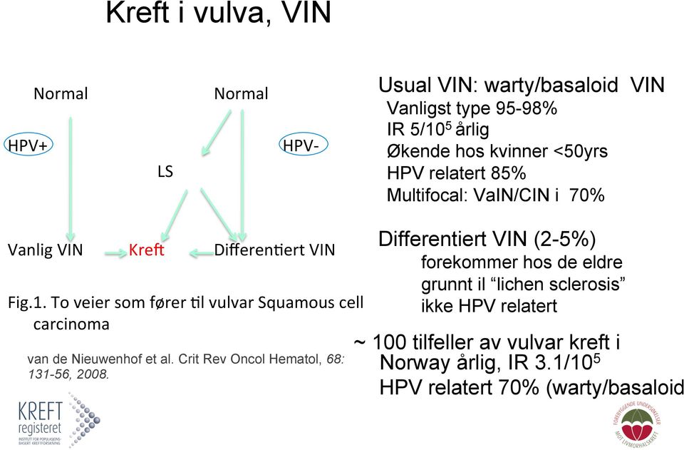 To veier som fører 8l vulvar Squamous cell carcinoma van de Nieuwenhof et al. Crit Rev Oncol Hematol, 68: 131-56, 2008.