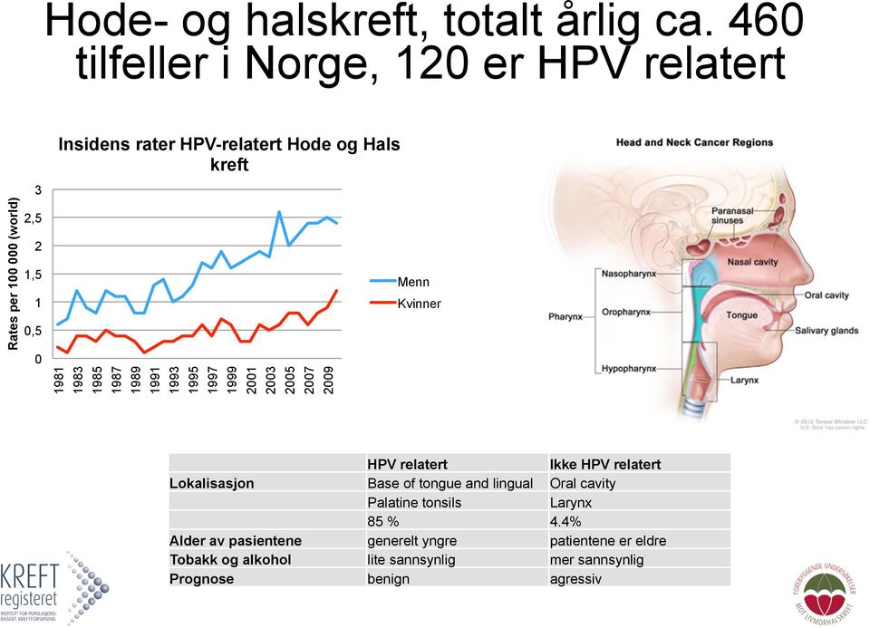 og Hals kreft 1983 1985 1987 1989 1991 1993 1995 1997 1999 2001 2003 2005 2007 2009 Menn Kvinner HPV relatert Ikke HPV