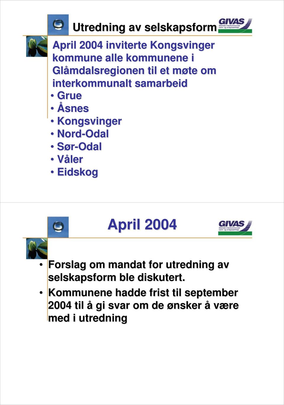 Nord-Odal Sør-Odal Våler Eidskog April 2004 Forslag om mandat for utredning av
