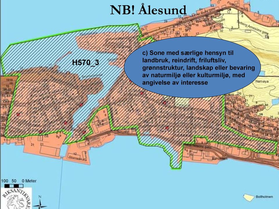 grønnstruktur, landskap eller bevaring av