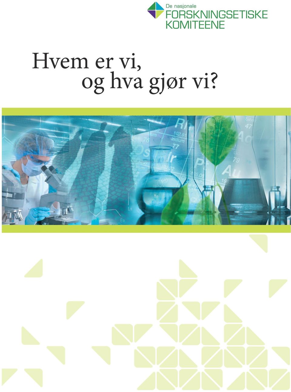 hva gjør