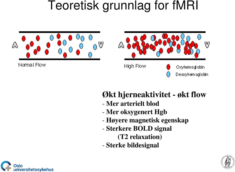 blod - Mer oksygenert Hgb - Høyere magnetisk