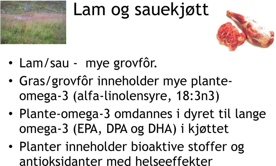 18:3n3) Plante-omega-3 omdannes i dyret til lange omega-3 (EPA,