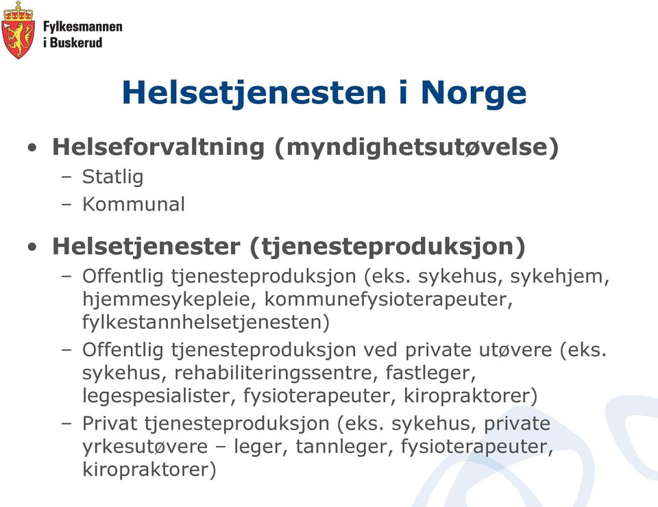 sykehus, sykehjem, hjemmesykepleie, kommunefysioterapeuter, fylkestannhelsetjenesten) Offentlig tjenesteproduksjon ved