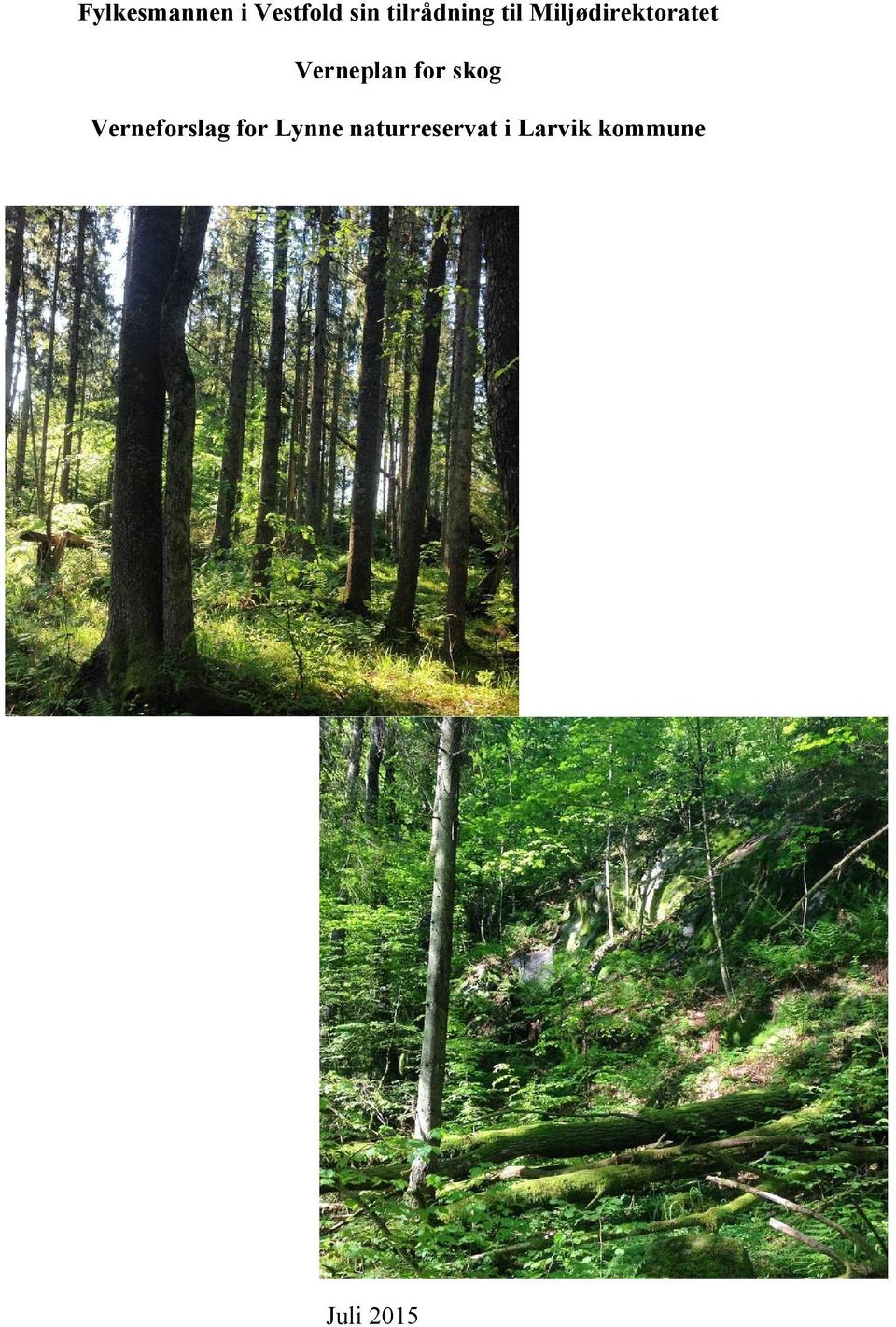 Verneplan for skog Verneforslag for