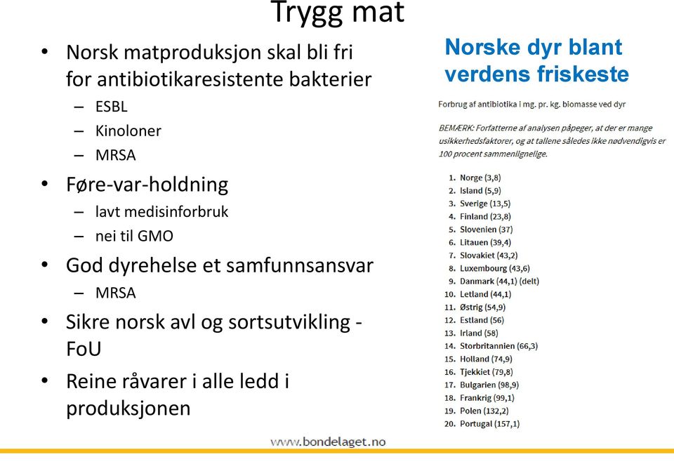 GMO God dyrehelse et samfunnsansvar MRSA Sikre norsk avl og sortsutvikling