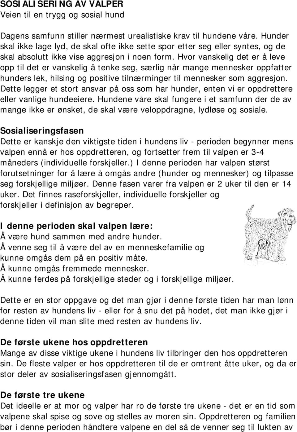 Hvor vanskelig det er å leve opp til det er vanskelig å tenke seg, særlig når mange mennesker oppfatter hunders lek, hilsing og positive tilnærminger til mennesker som aggresjon.