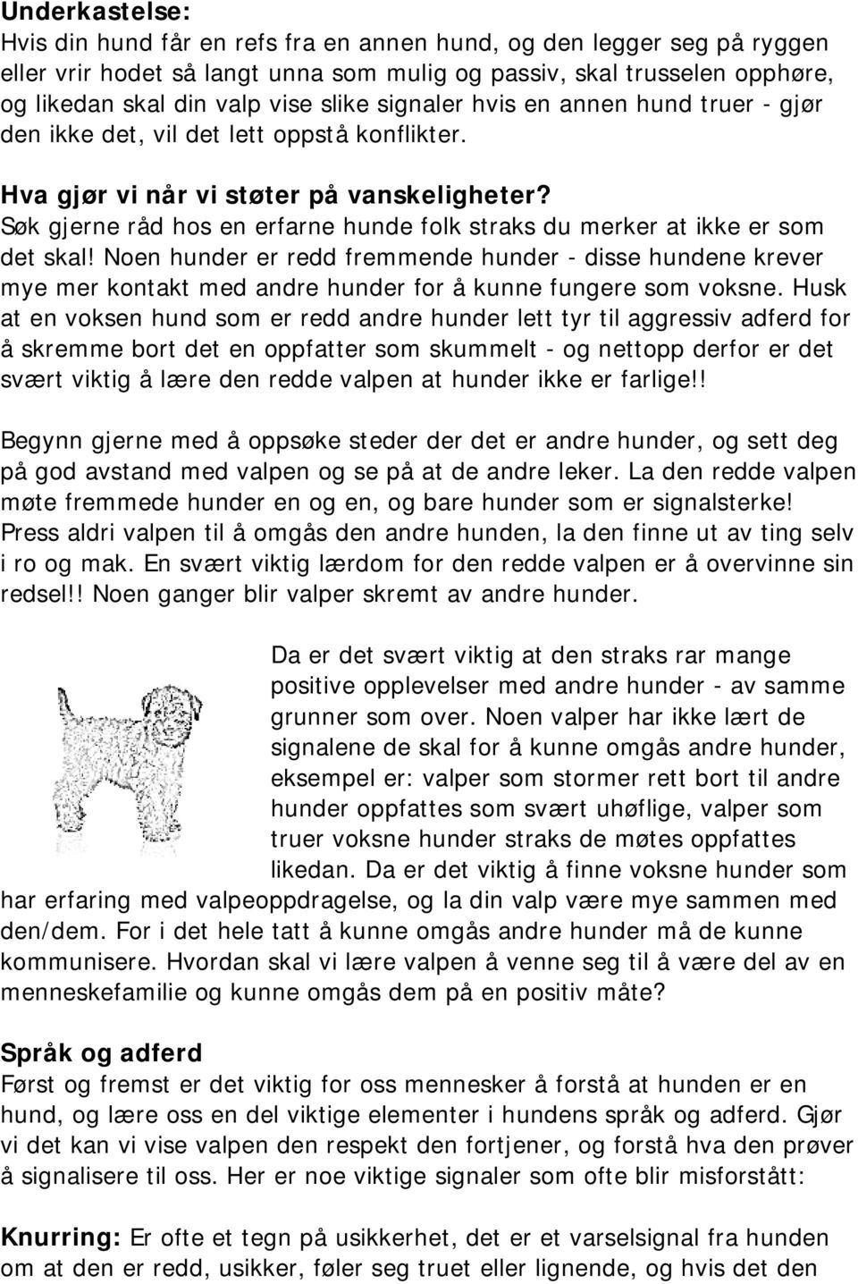 Søk gjerne råd hos en erfarne hunde folk straks du merker at ikke er som det skal!