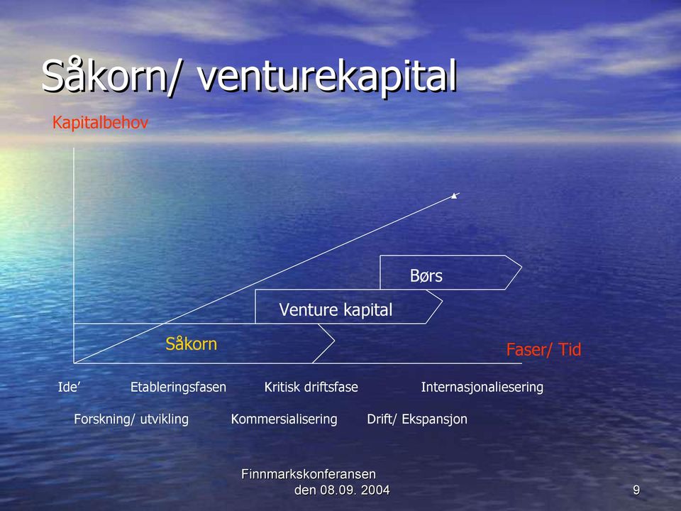 driftsfase Internasjonaliesering Forskning/