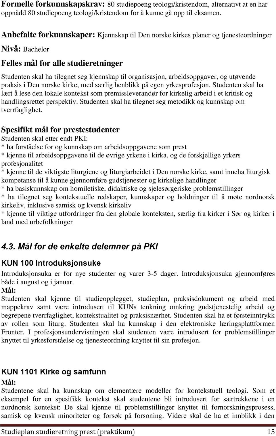 arbeidsoppgaver, og utøvende praksis i Den norske kirke, med særlig henblikk på egen yrkesprofesjon.
