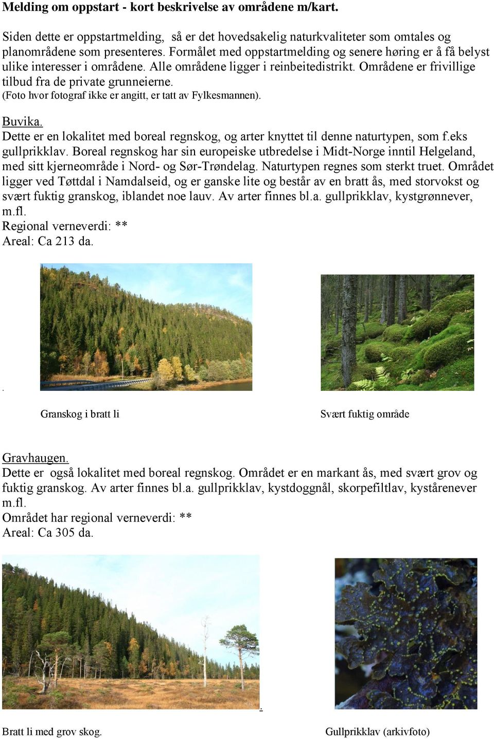 (Foto hvor fotograf ikke er angitt, er tatt av Fylkesmannen). Buvika. Dette er en lokalitet med boreal regnskog, og arter knyttet til denne naturtypen, som f.eks gullprikklav.