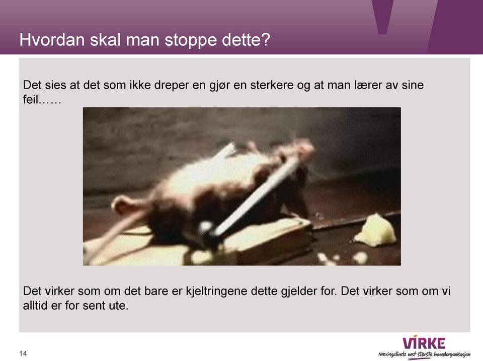 at man lærer av sine feil Det virker som om det bare er