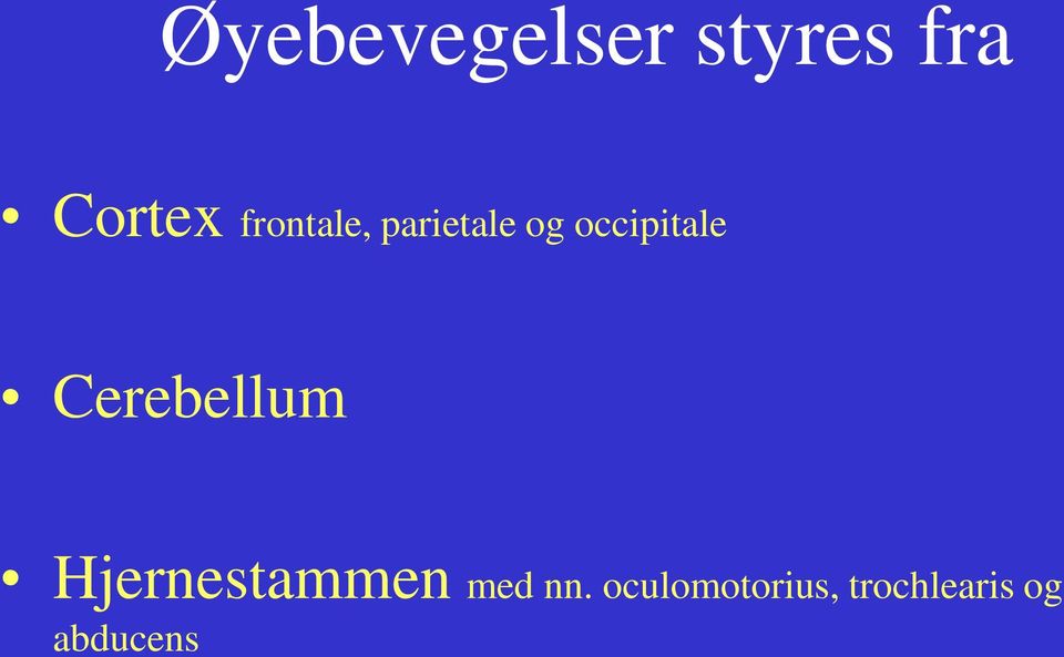 Cerebellum Hjernestammen med nn.