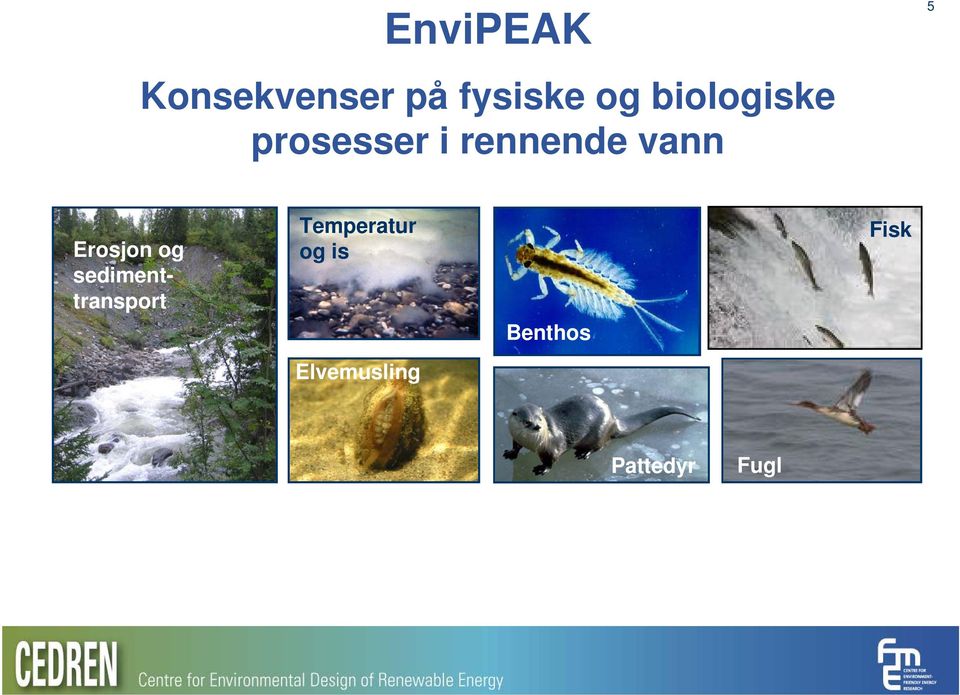 Erosjon og sedimenttransport Temperatur