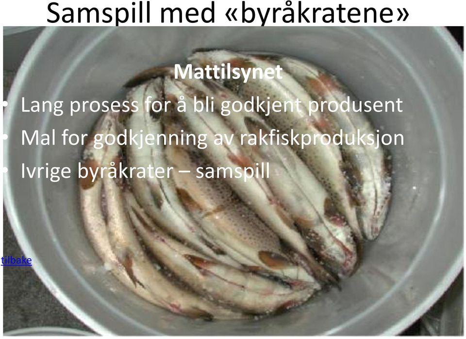 produsent Mal for godkjenning av