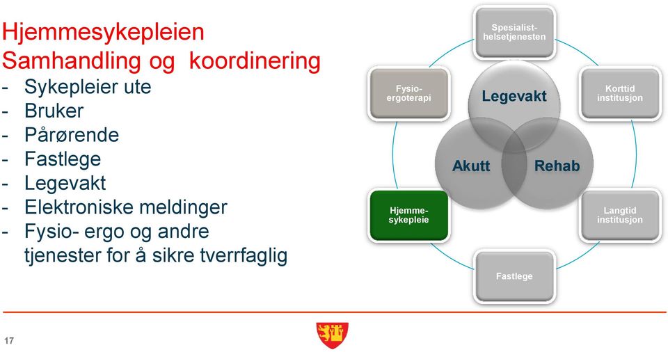 andre tjenester for å sikre tverrfaglig Fysioergoterapi