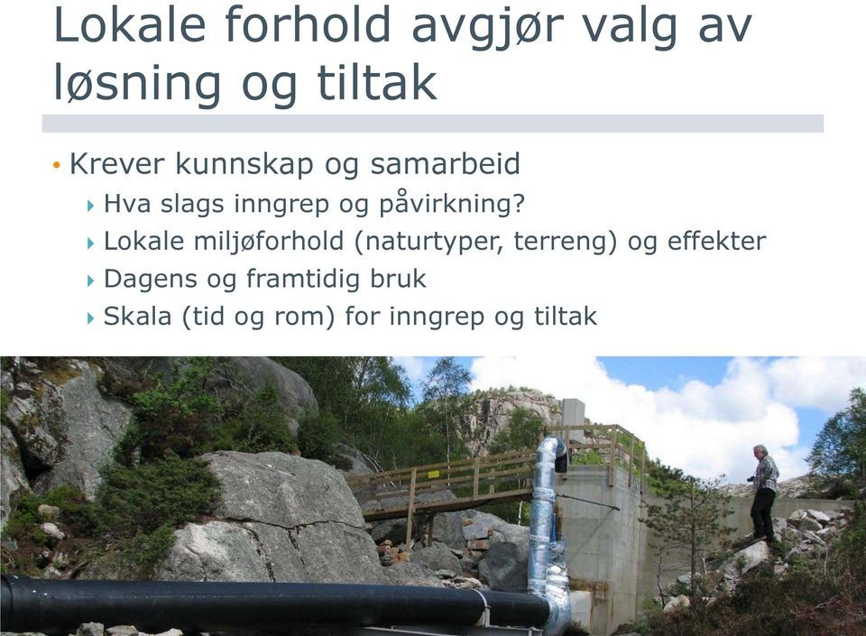 Lokale miljøforhold (naturtyper, terreng) og effekter