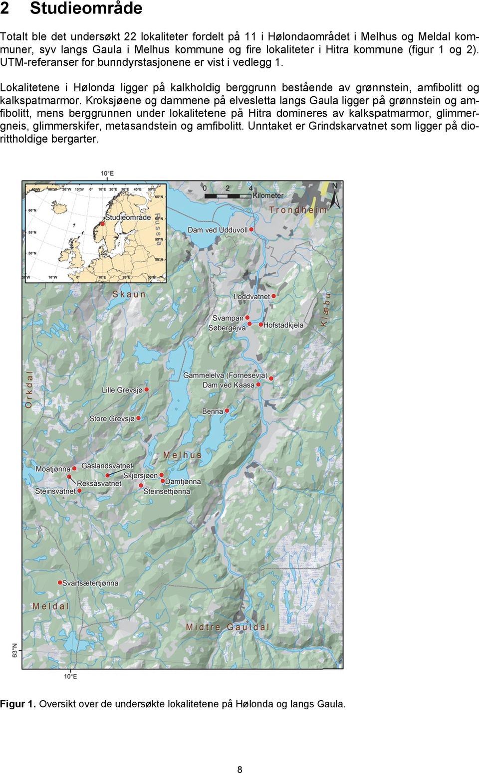 UTM-refferanser for bunndyrstasjonene er vvist i vedlegg onda ligger på kalkhold dig berggrun nn beståend de av grønnnstein, amfibolitt og Lokalitettene i Hølo kalkspattmarmor.