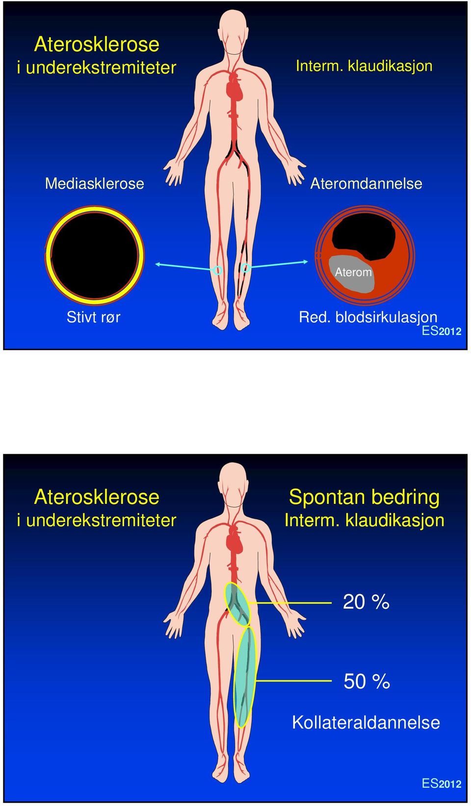 rør Red.