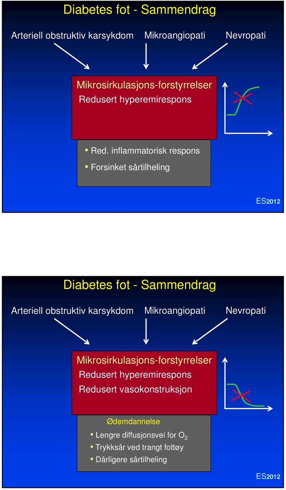 inflammatorisk respons Forsinket sårtilheling  Mikrosirkulasjons-forstyrrelser Redusert hyperemirespons Redusert