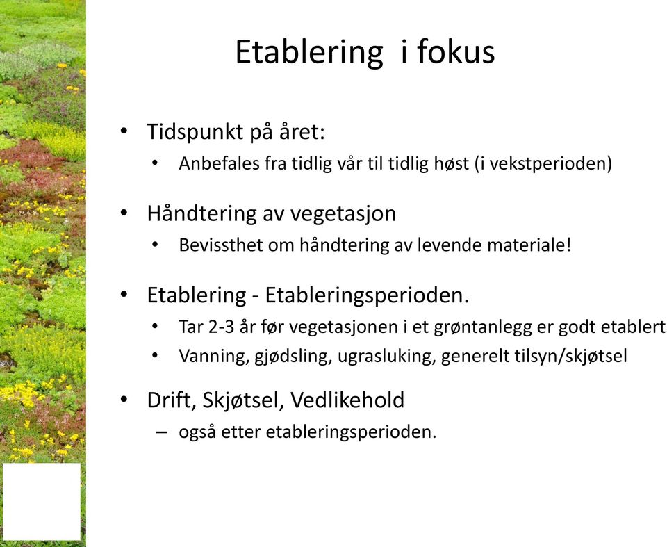 Etablering - Etableringsperioden.