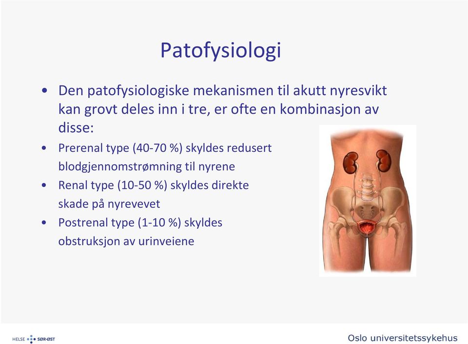 skyldes redusert blodgjennomstrømning til nyrene Renaltype (10 50 %) skyldes