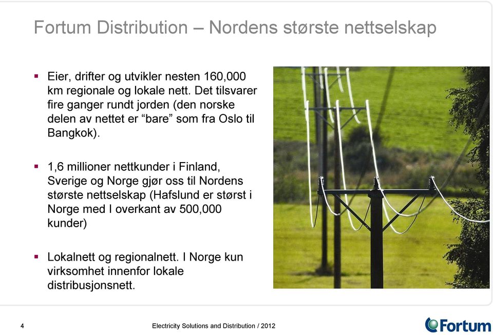 1,6 millioner nettkunder i Finland, Sverige og Norge gjør oss til Nordens største nettselskap (Hafslund er størst i