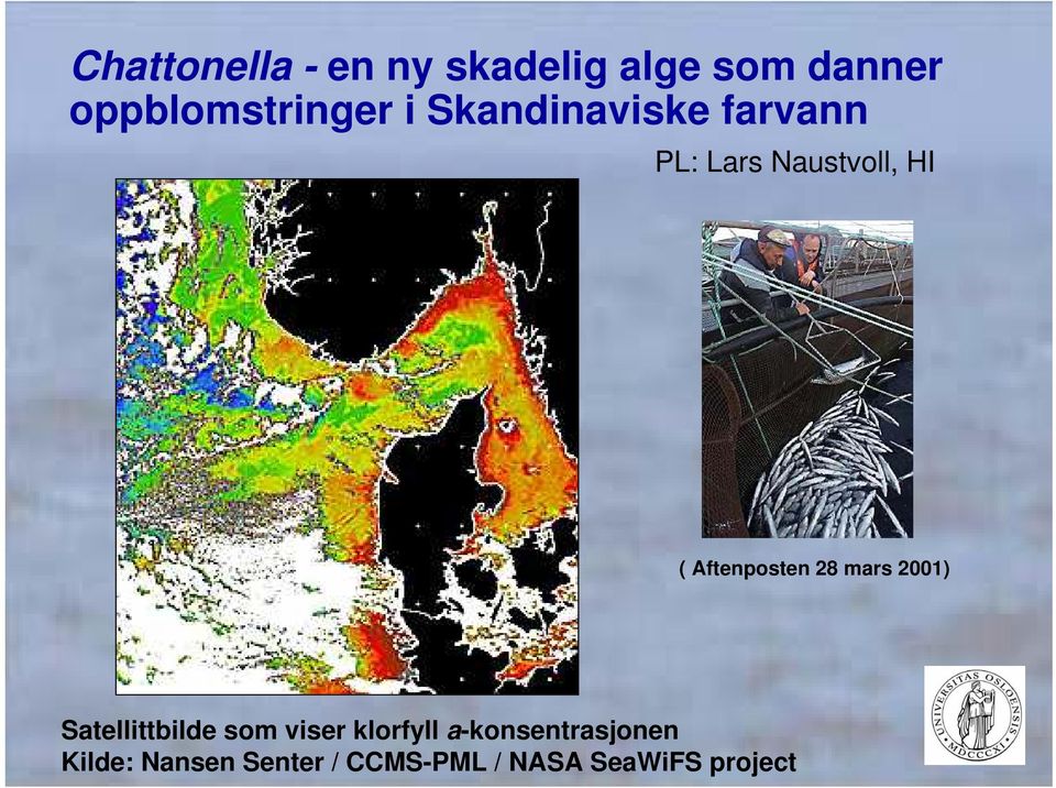 28 mars 2001) Satellittbilde som viser klorfyll