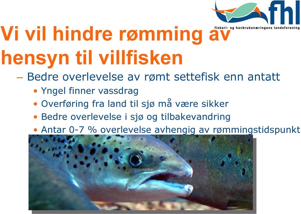 Overføring fra land til sjø må være sikker Bedre overlevelse i