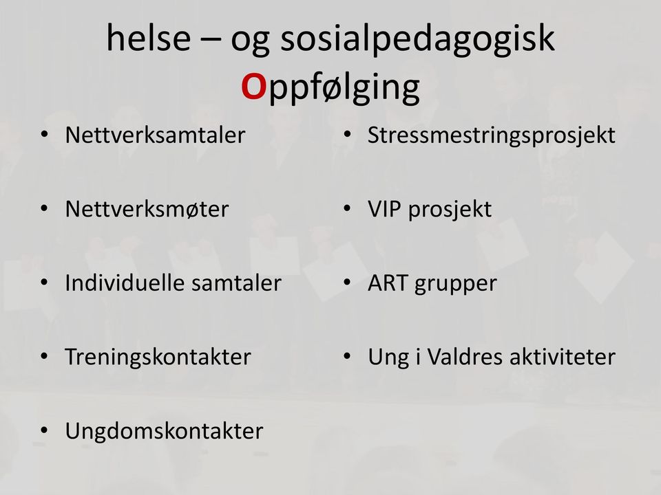 Nettverksmøter VIP prosjekt Individuelle samtaler