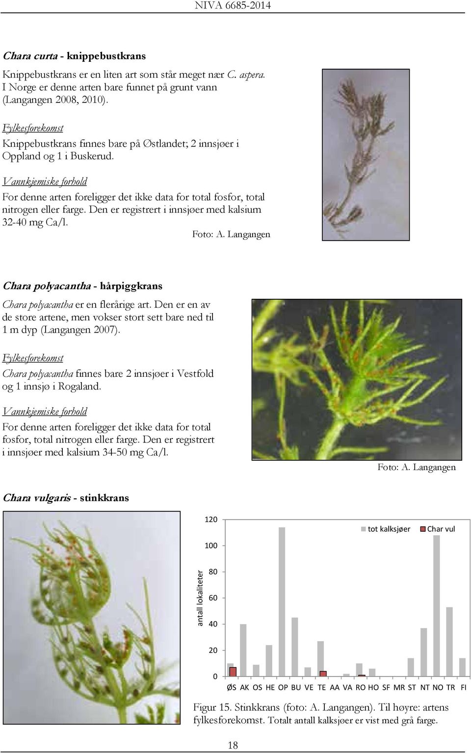 Vannkjemiske forhold For denne arten foreligger det ikke data for total fosfor, total nitrogen eller farge. Den er registrert i innsjøer med kalsium 32-4 mg Ca/l. Foto: A.