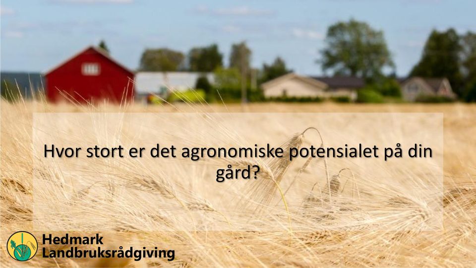 agronomiske