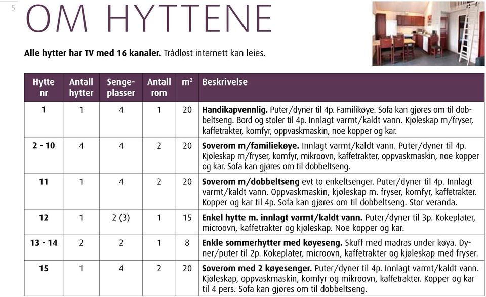 Innlagt varmt/kaldt vann. Puter/dyner til 4p. Kjøleskap m/fryser, komfyr, mikroovn, kaffetrakter, oppvaskmaskin, noe kopper og kar. Sofa kan gjøres om til dobbeltseng.