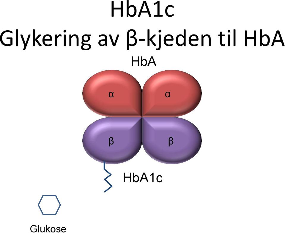 HbA HbA α α β β