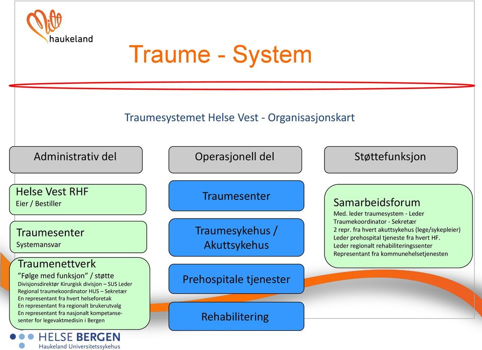 representant fra nasjonalt kompetansesenter for legevaktmedisin i Bergen Traumesenter Traumesykehus / Akuttsykehus Prehospitale tjenester Rehabilitering Samarbeidsforum Med.