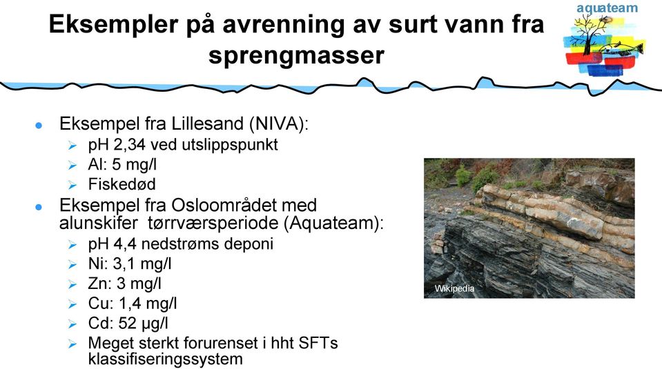 alunskifer tørrværsperiode (Aquateam): ph 4,4 nedstrøms deponi Ni: 3,1 mg/l Zn: 3