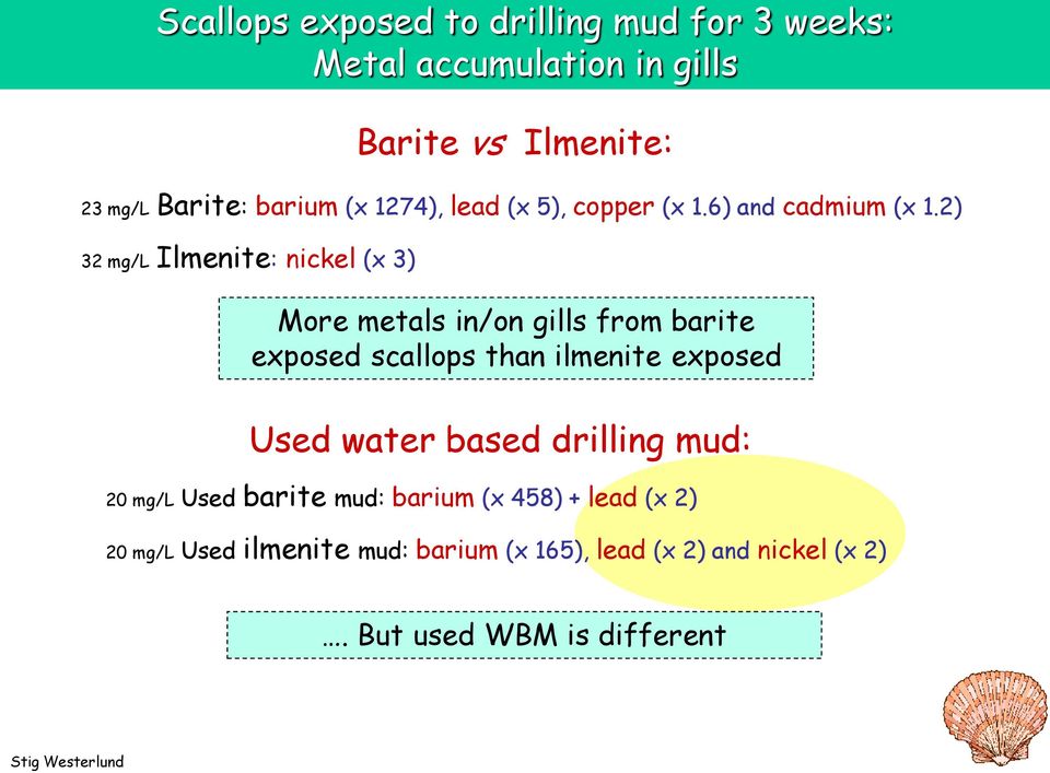 2) 32 mg/l Ilmenite: nickel (x 3) Barite vs Ilmenite: More metals in/on gills from barite exposed scallops than