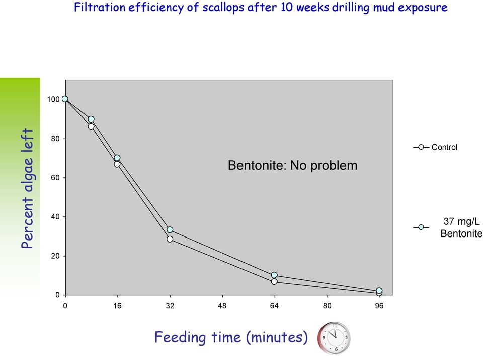 8 6 Bentonite: No problem 4 37 mg/l Bentonite