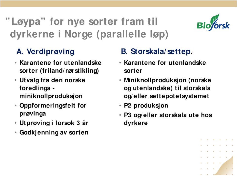 Oppformeringsfelt for prøvinga Utprøving i forsøk 3 år Godkjenning av sorten Karantene for utenlandske sorter