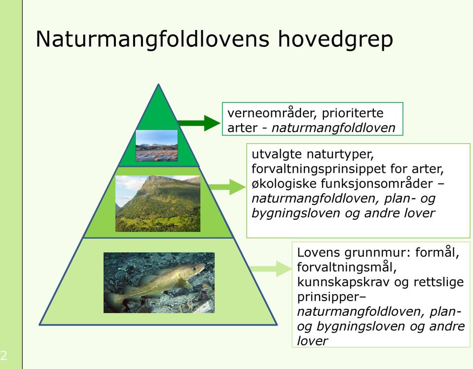 naturmangfoldloven, plan- og bygningsloven og andre lover 2 Lovens grunnmur: formål,