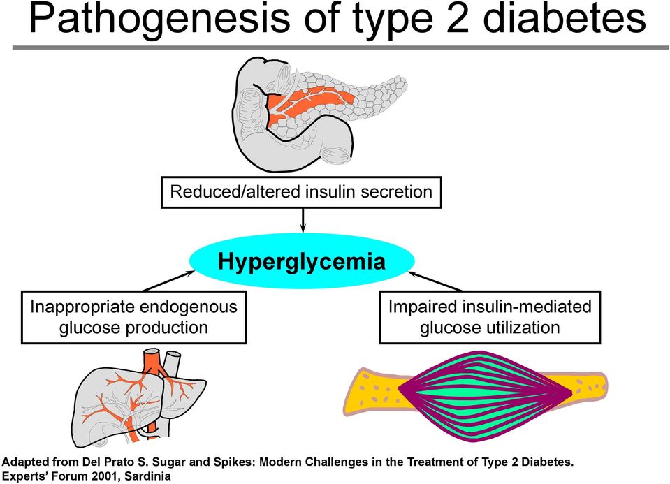 Experts Forum 2001, Sardinia Pathogenesis of type 2 diabetes