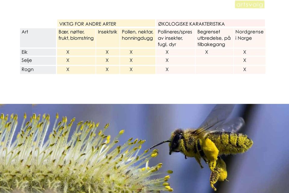Pollineres/spres av insekter, fugl, dyr Begrenset utbredelse, på