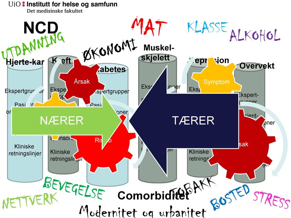 organisasjoner Industri- sponsorer Kliniske retningslinjer Overvekt Ekspert- grupper Pasient- organisasjoner Industri- sponsorer Kliniske retningslinjer Kreft Ekspert-