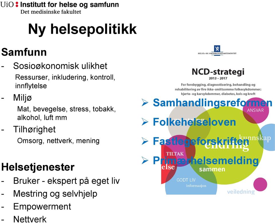 nettverk, mening Helsetjenester - Bruker - ekspert på eget liv - Mestring og selvhjelp -