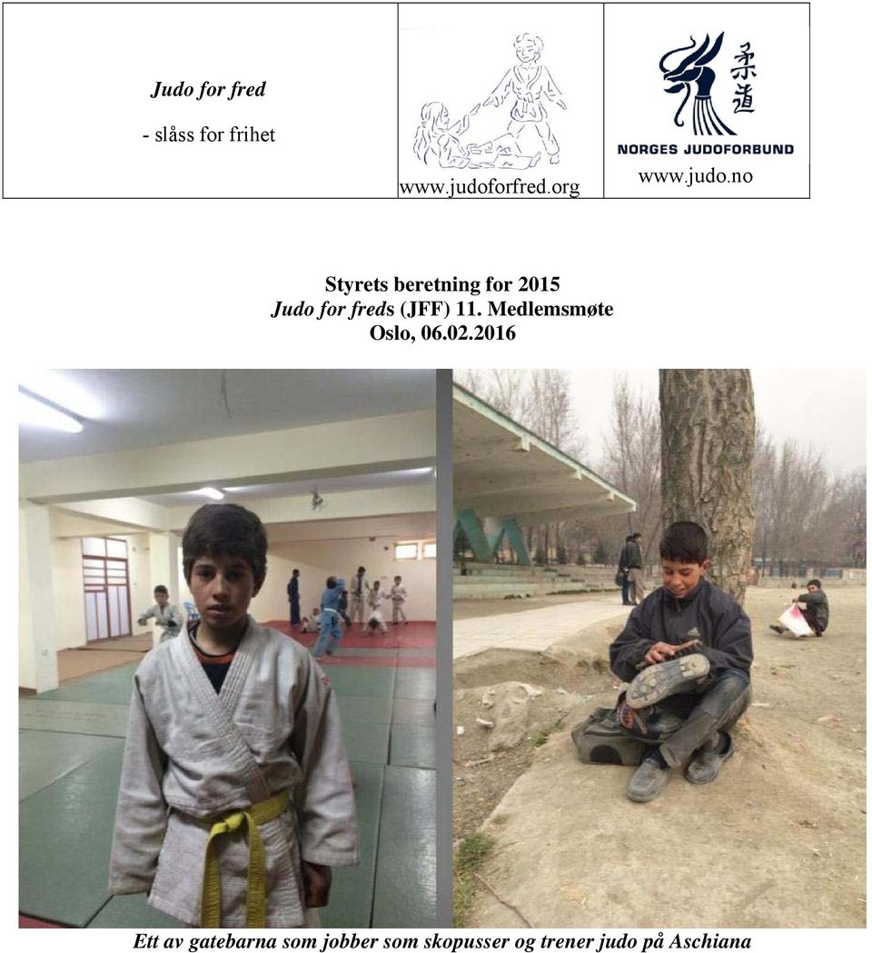 no Styrets beretning for 2015 Judo for freds (JFF) 11.